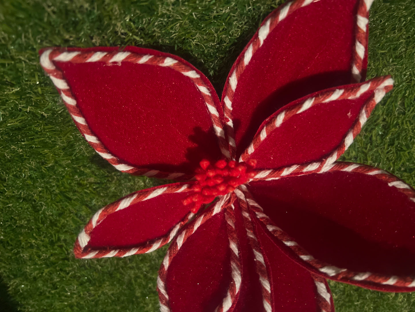 24cm RED CANDY STRIPE EDGE VELVET POINSETTIA