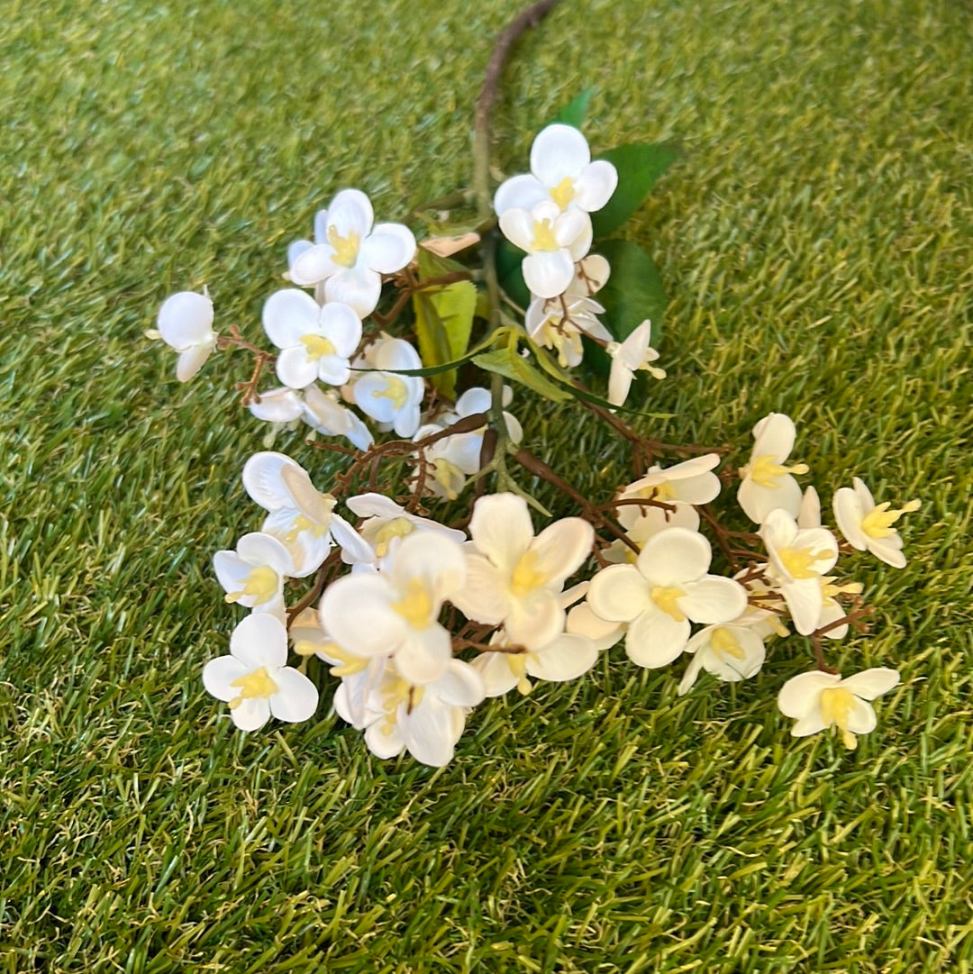 SOFT DAPHNE BLOSSOM BRANCH IVORY