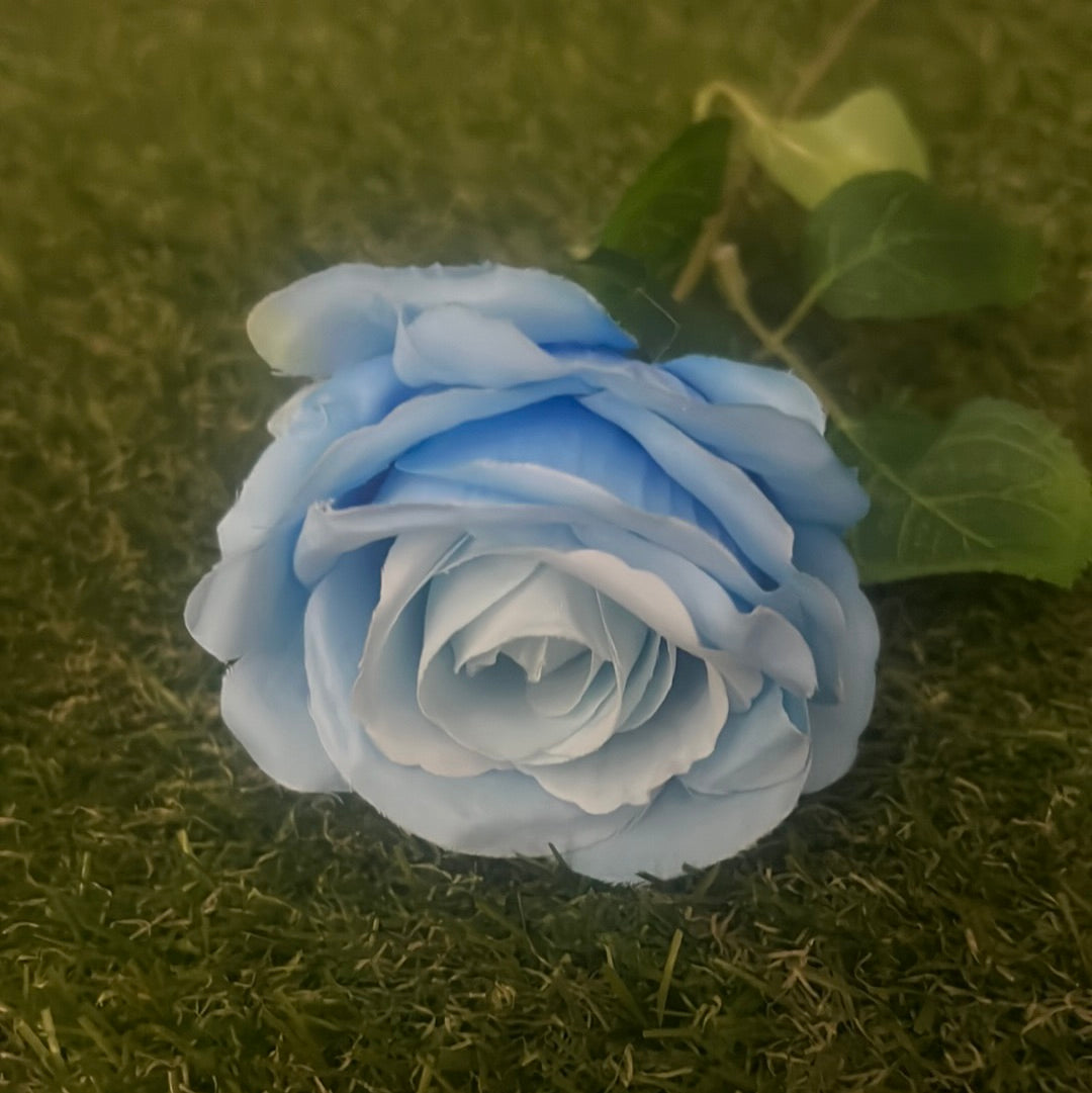 PASTEL SINGLE ROSE BLUE