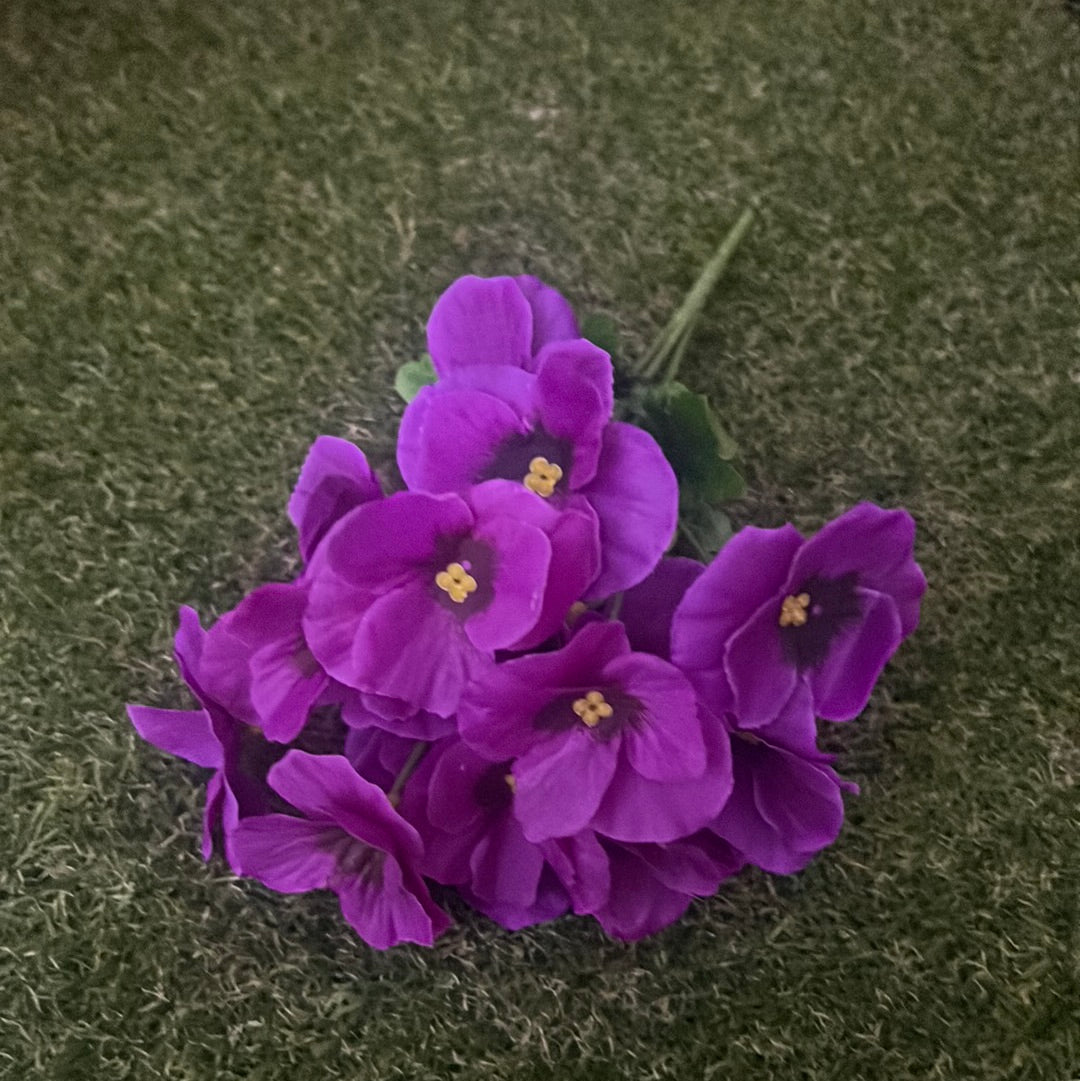 SINGLE PANSY BUNCH PURPLE