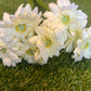 IVORY LONG STEM GERBERA BUNCH