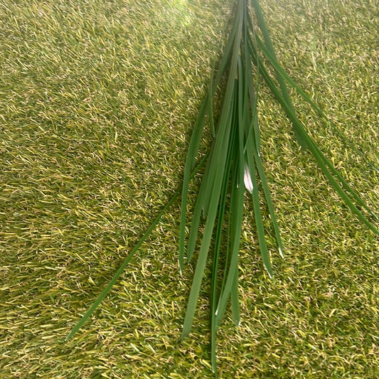 70cm DRACEANA GRASS