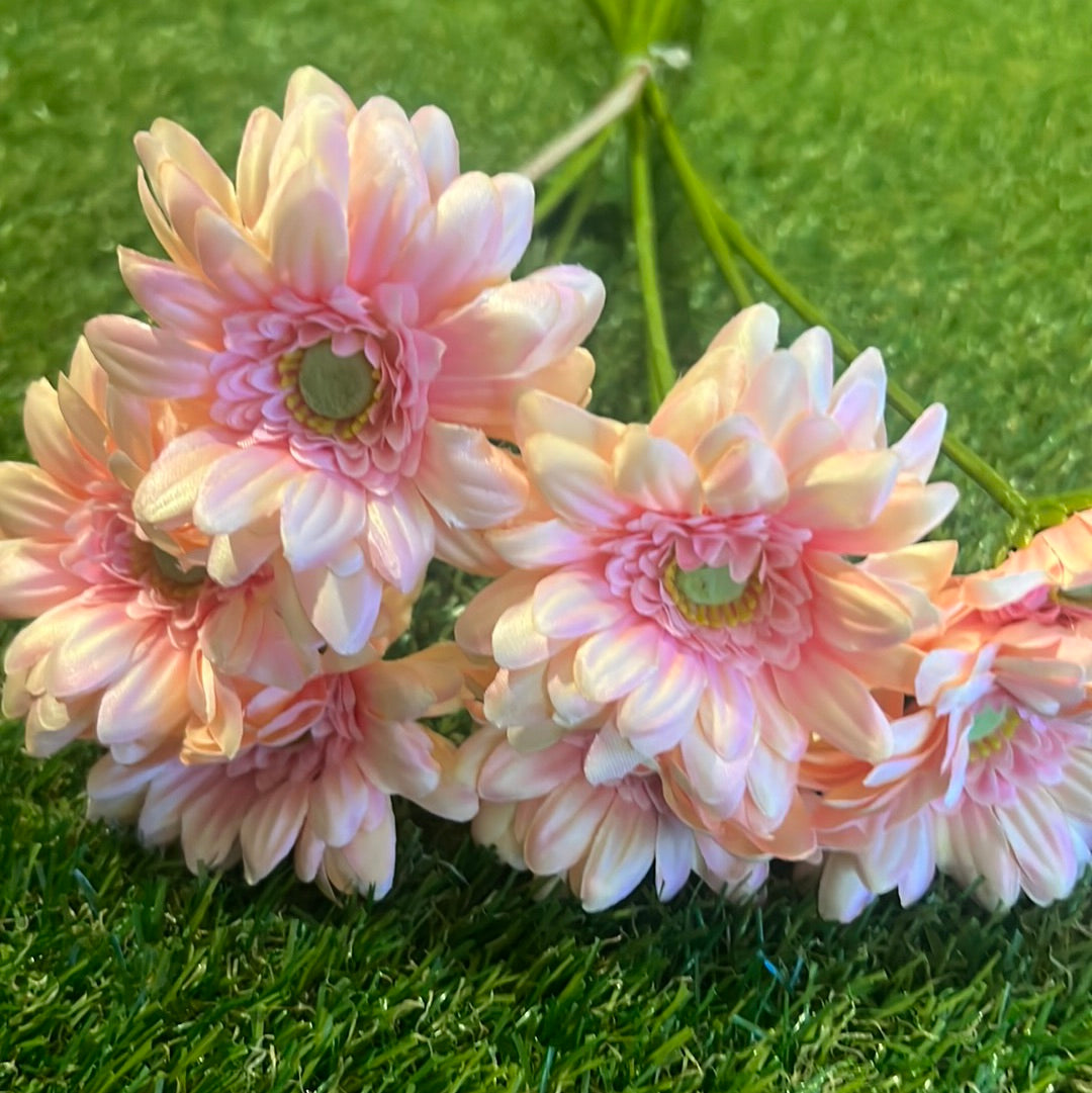 PINK LONG STEM GERBERA BUNCH