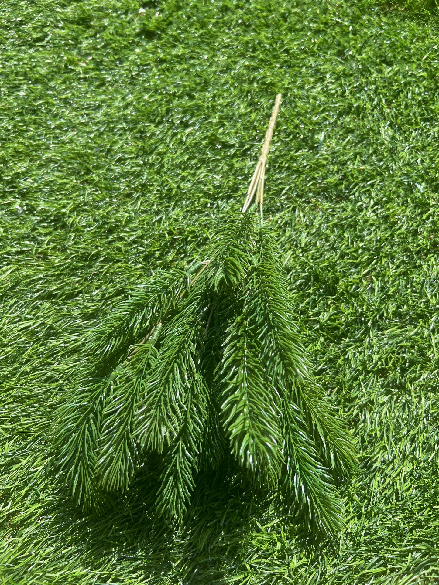 PLAIN GREEN SMALL PINE BUNCH