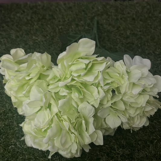 5 HEAD HYDRANGEA BUNCH LIME GREEN