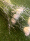 GIANT WILD POPPY & GRASS BUNCH IVORY