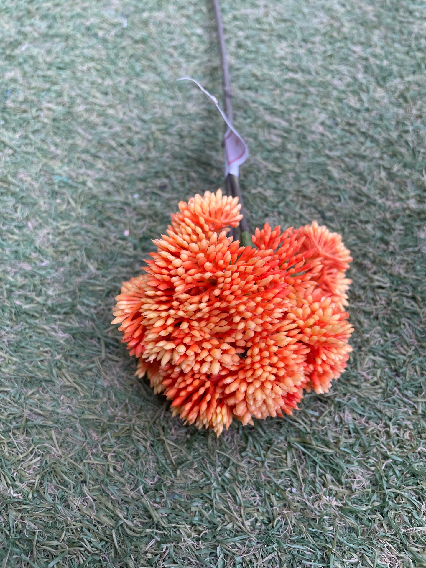 47cm WILD BERRY STEM BRIGHT ORANGE