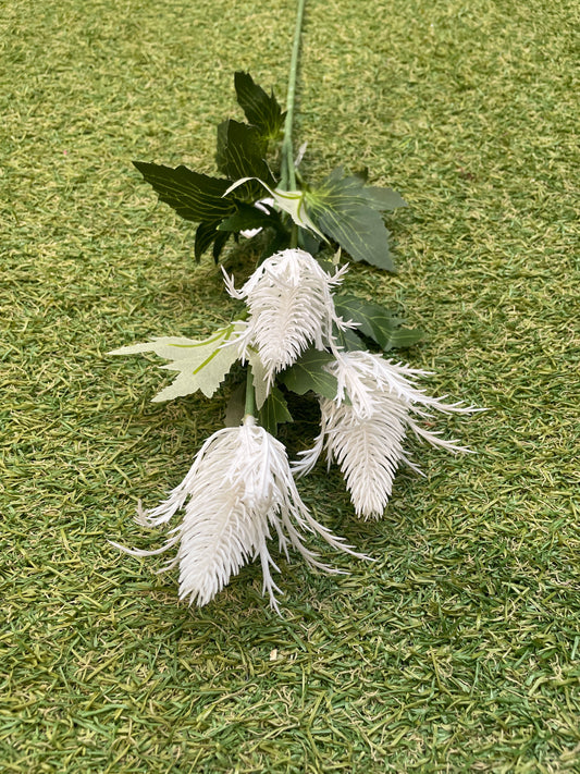 PURE WHITE SEA HOLLY