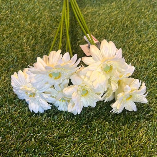 IVORY LONG STEM GERBERA BUNCH