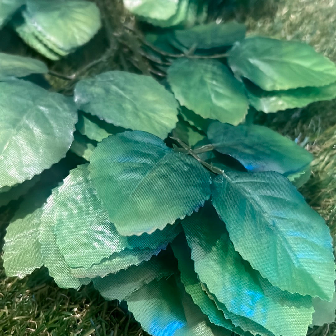 PK6 GREEN ROSE LEAVES