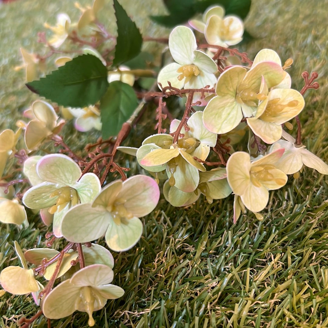 SOFT DAPHNE BLOSSOM BRANCH GREEN