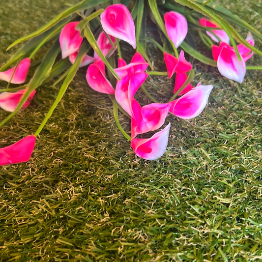 7 STEM BABY CALLA LILY BUNCH CANDY PINK