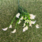 BABY CALLA LILY BUNCH IVORY