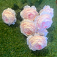 LARGE ENGLISH ROSE/RANUNCULUS BUNCH BABY PINK