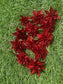 PK12 DINKY POINSETTIAS GLITTER