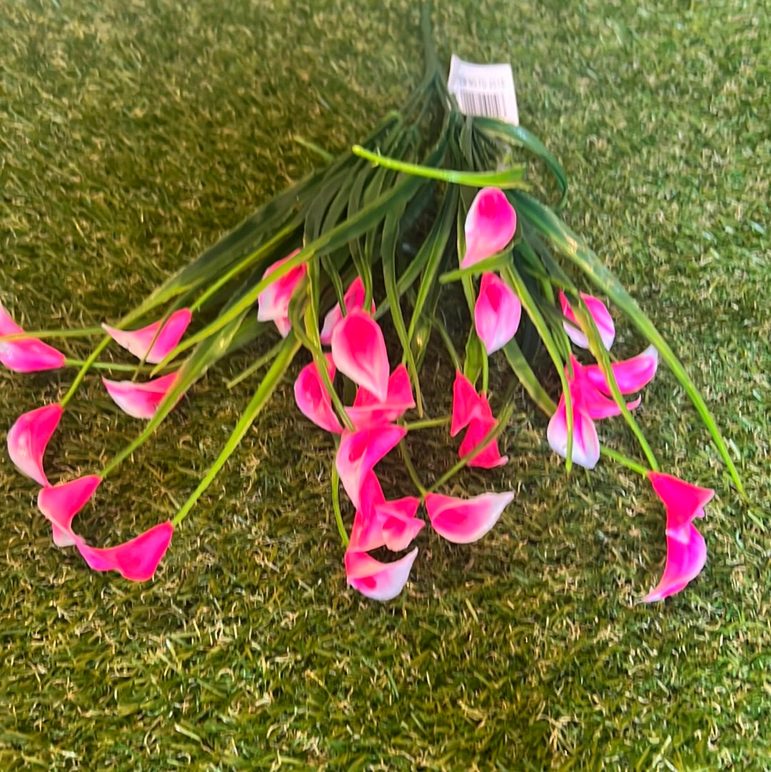 7 STEM BABY CALLA LILY BUNCH CANDY PINK