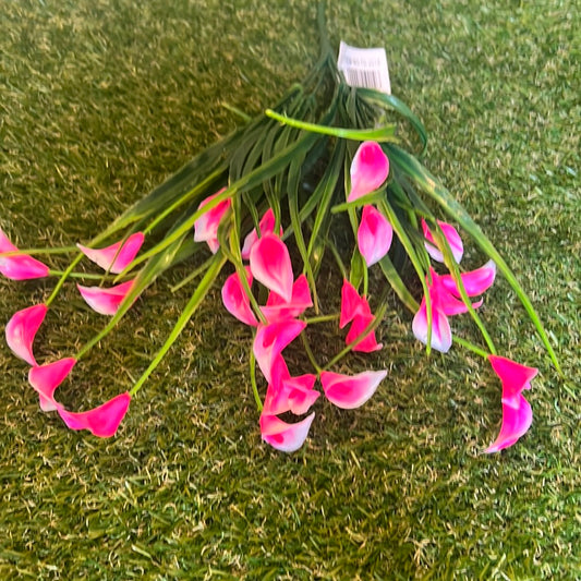 7 STEM BABY CALLA LILY BUNCH CANDY PINK
