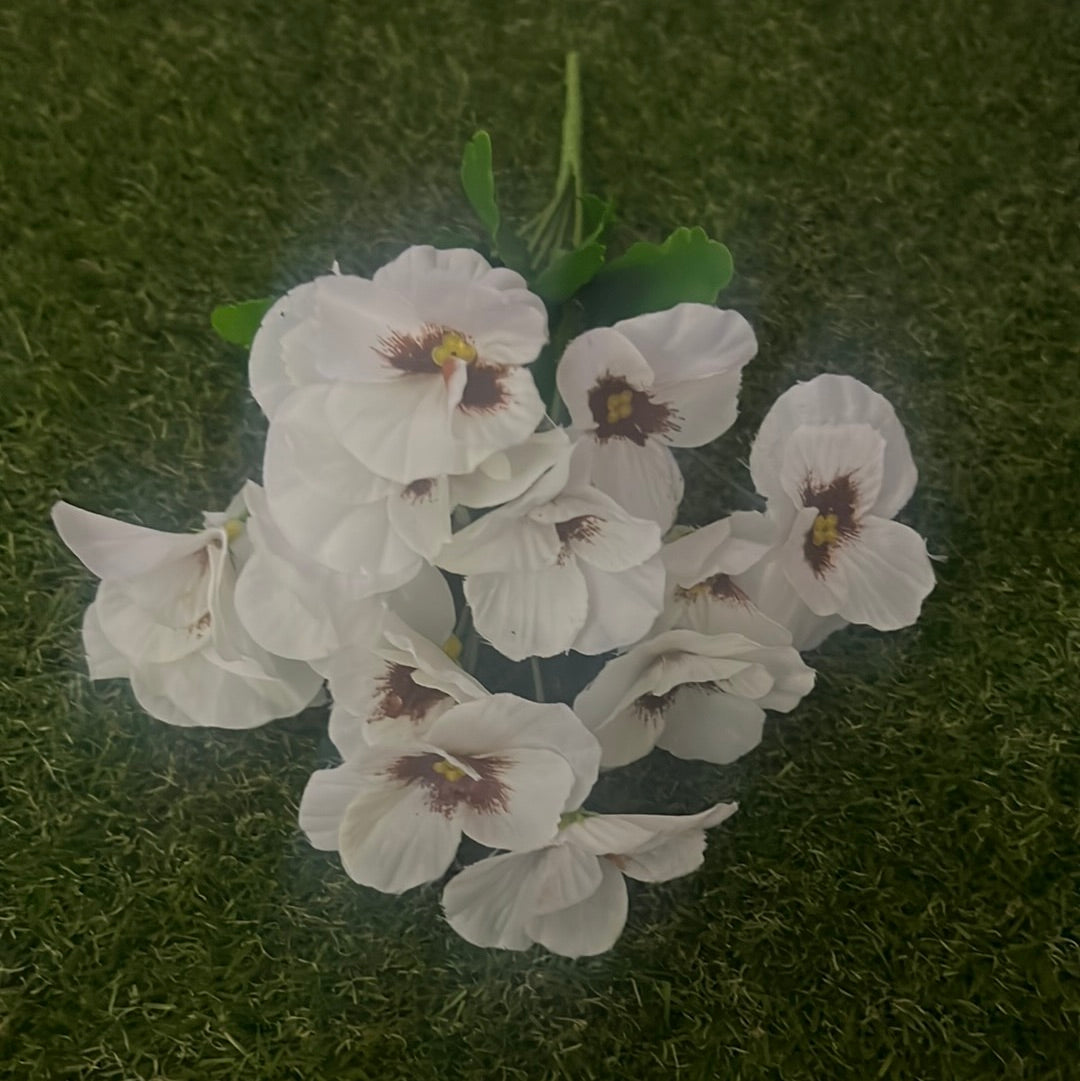 SINGLE PANSY BUNCH WHITE