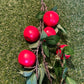 85cm APPLE BRANCH RED