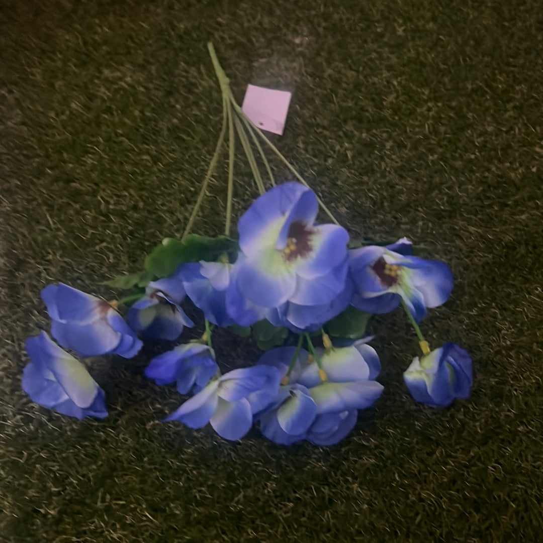 SINGLE PANSY BUNCH BLUE