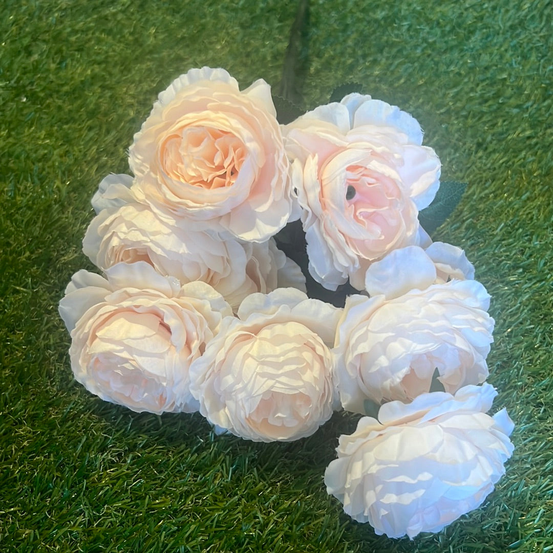 LARGE ENGLISH ROSE/RANUNCULUS BUNCH APRICOT