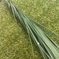 100cm DARK GREEN ONION GRASS