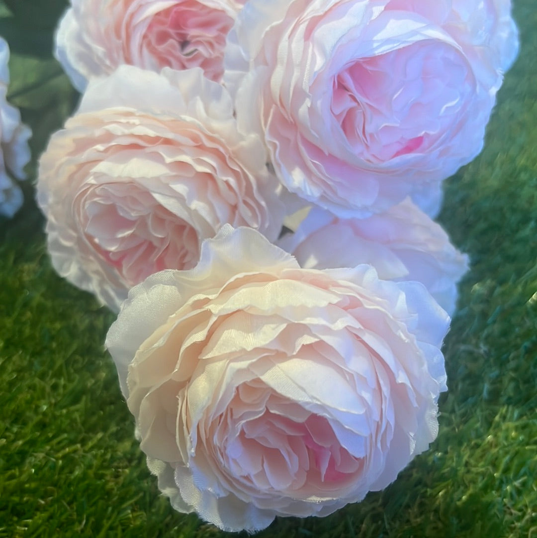 LARGE ENGLISH ROSE/RANUNCULUS BUNCH BABY PINK