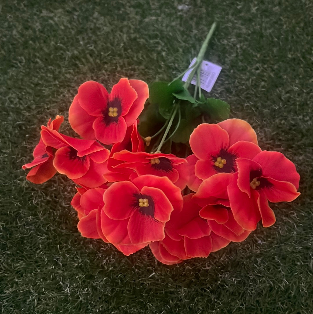 SINGLE PANSY BUNCH ORANGE