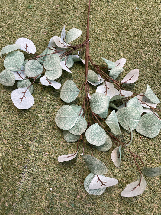 SAGE GREEN EUCALYPTUS BRANCH