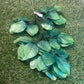 PK6 GREEN ROSE LEAVES