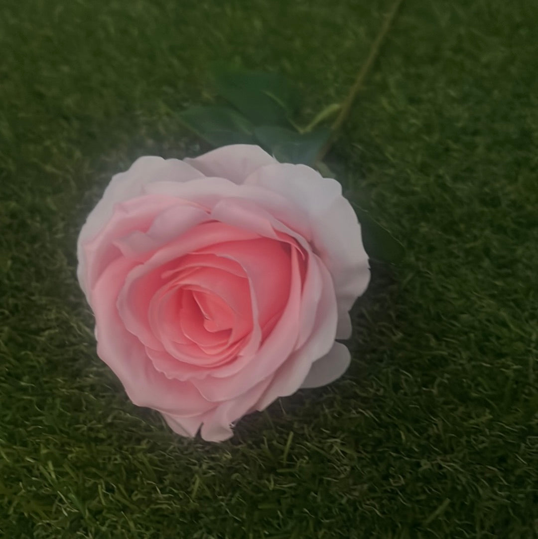 PASTEL SINGLE ROSE LIGHT PINK