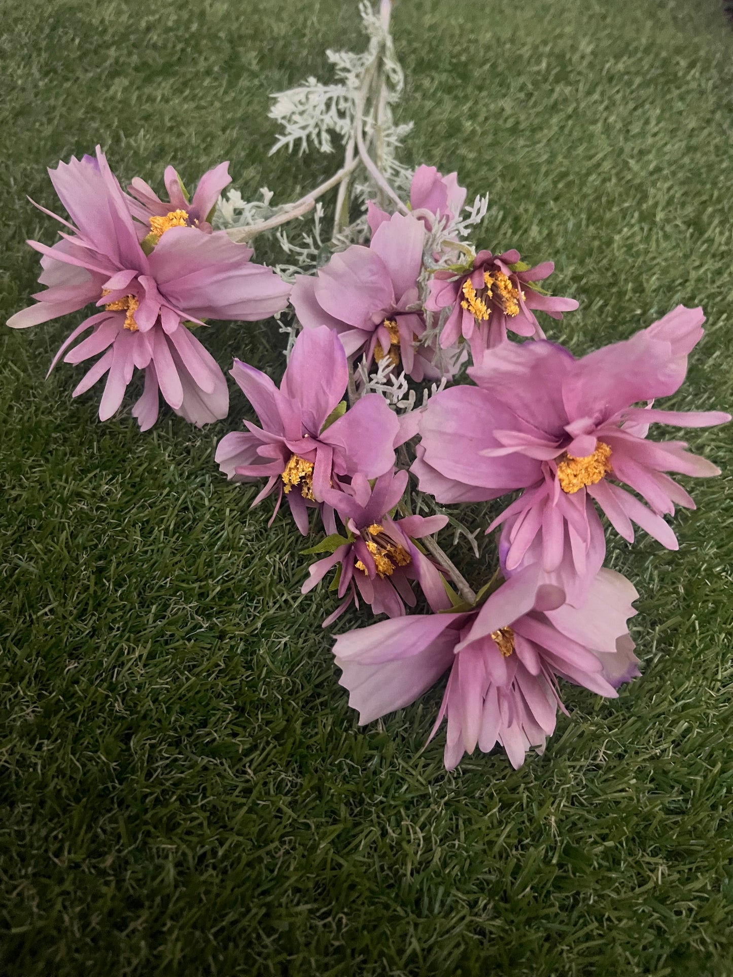 SPIKY LONG STEM COSMOS FLOWER VINTAGE (PINK)