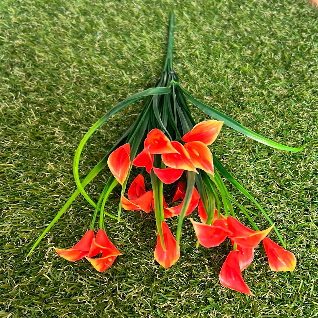 BABY CALLA LILY BUNCH ORANGE