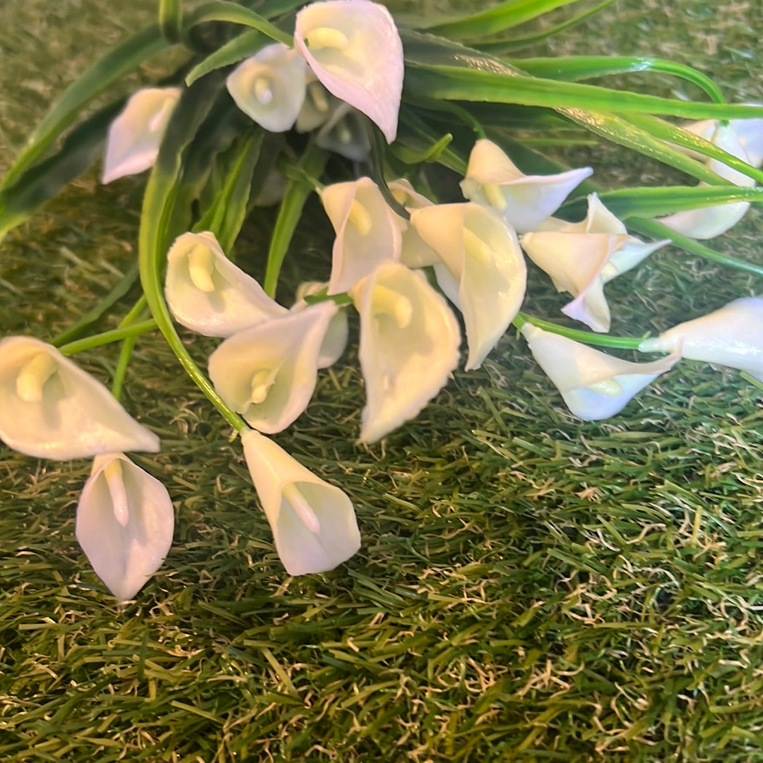 7 STEM BABY CALLA LILY BUNCH IVORY