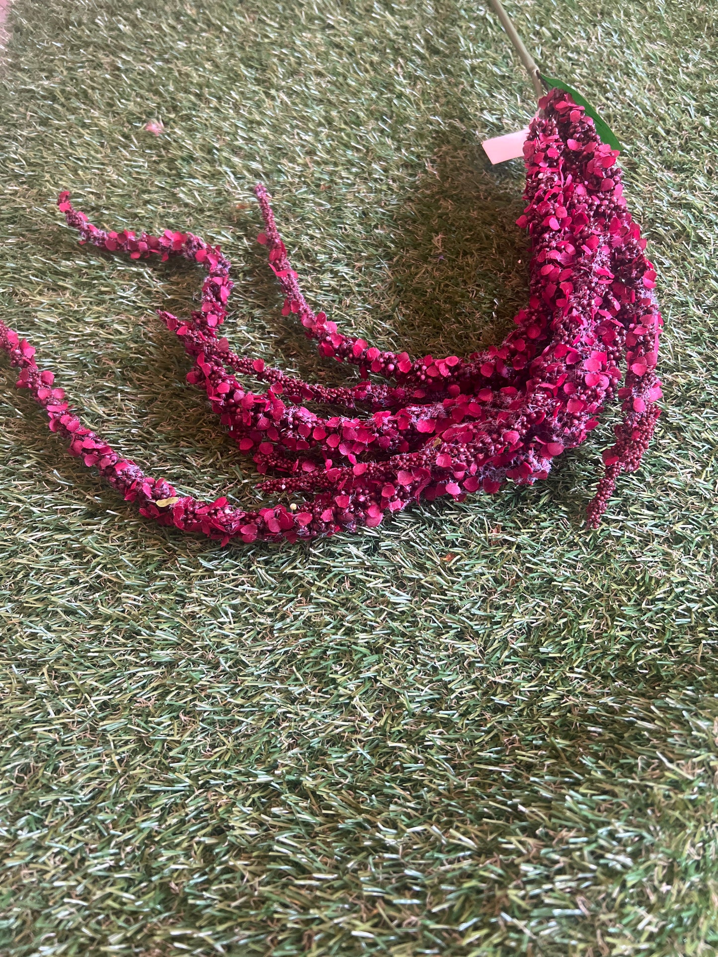 TRAILING DELUXE AMARANTHUS BURGUNDY