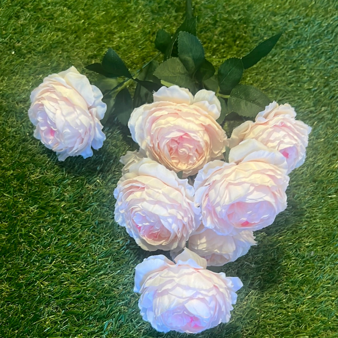 LARGE ENGLISH ROSE/RANUNCULUS BUNCH BABY PINK