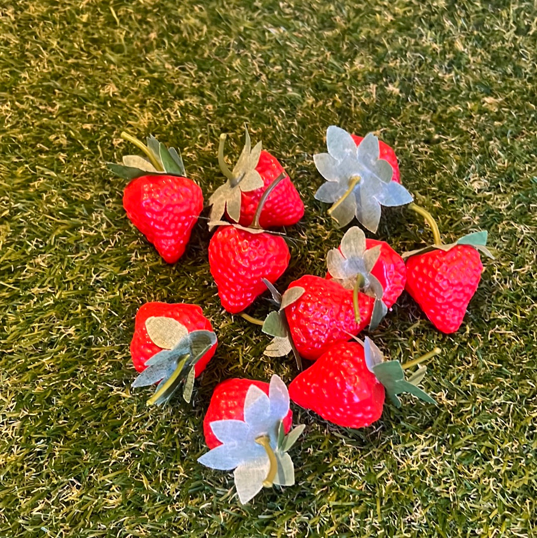 PK10 STRAWBERRIES