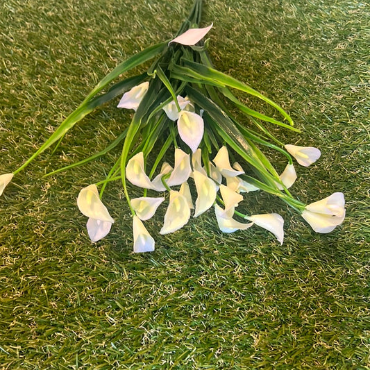 7 STEM BABY CALLA LILY BUNCH IVORY