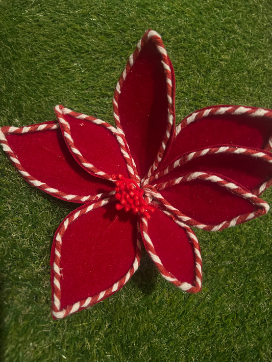 24cm RED CANDY STRIPE EDGE VELVET POINSETTIA