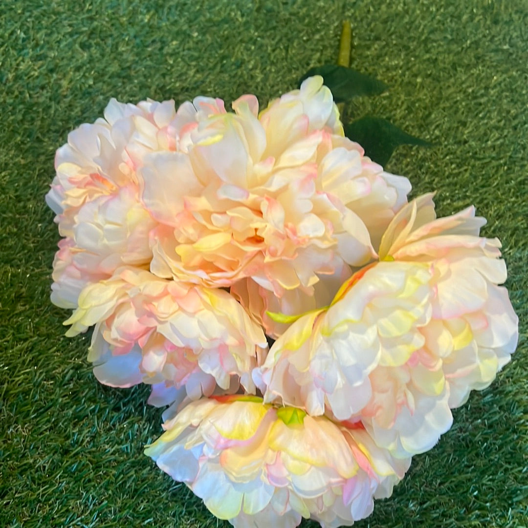 SOFT LARGE PEONY BUNCH 5 HEAD PEACH