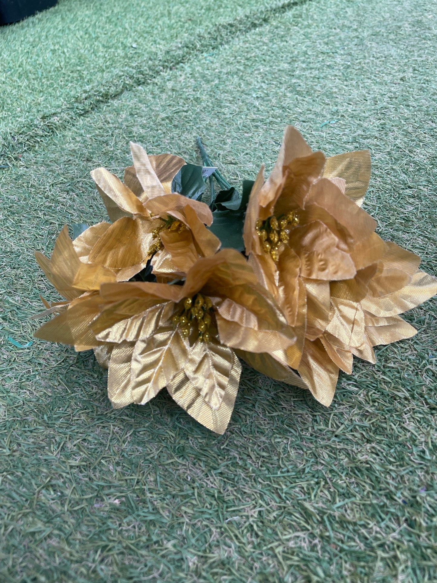 7 HEAD POINSETTIA GOLD