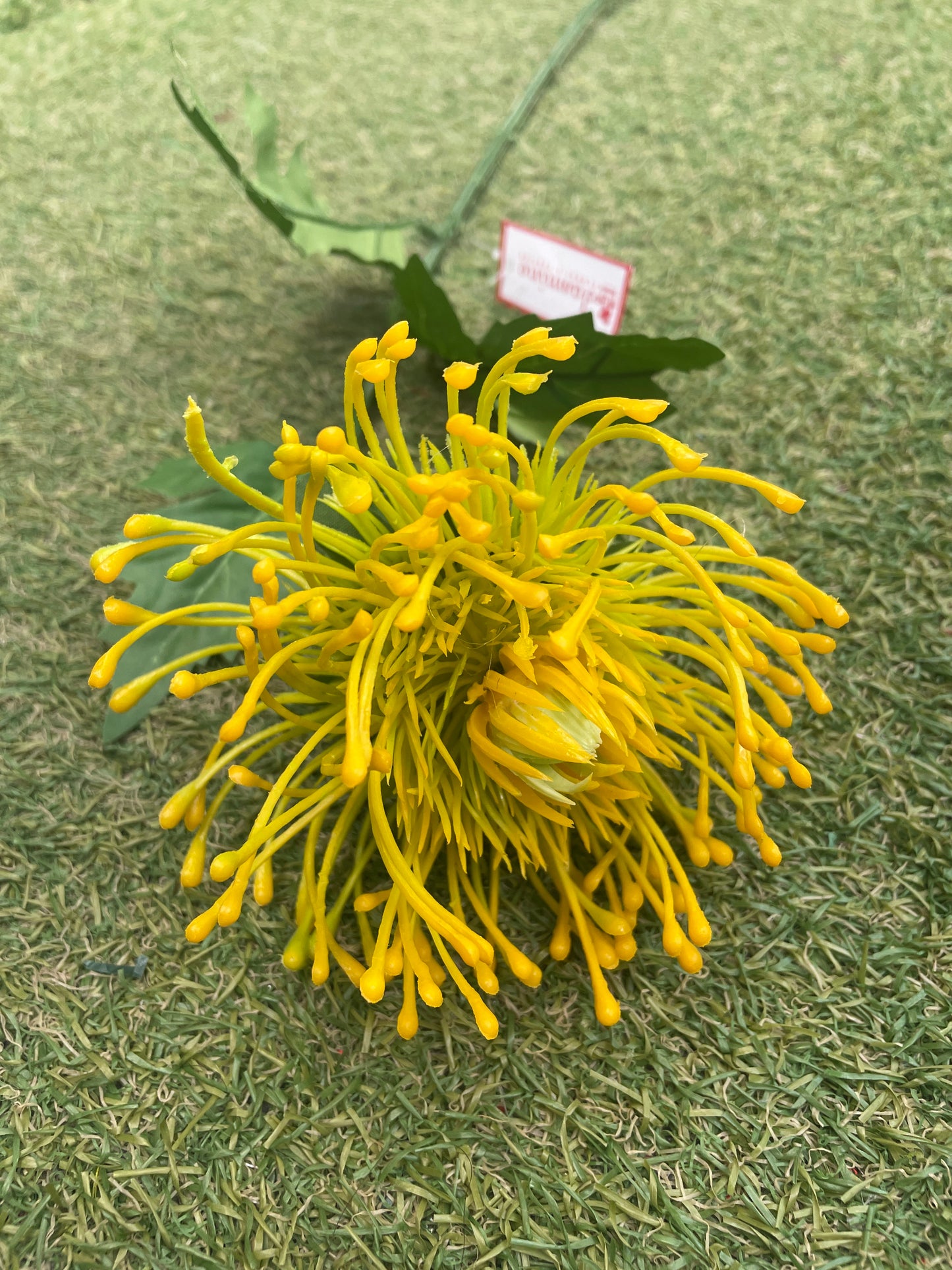 75cm PROTEA YELLOW