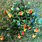 37cm COLOURED PLASTIC FLOWER BUSH ORANGE