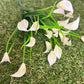 BABY CALLA LILY BUNCH IVORY