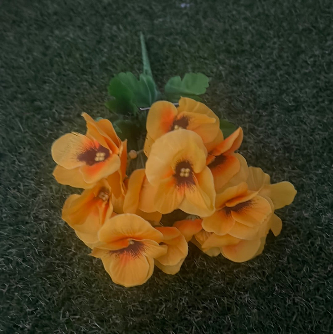 SINGLE PANSY BUNCH YELLOW