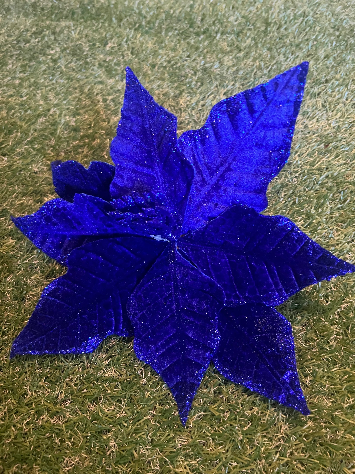 COLBALT ROYAL BLUE VELVET POINSETTIA