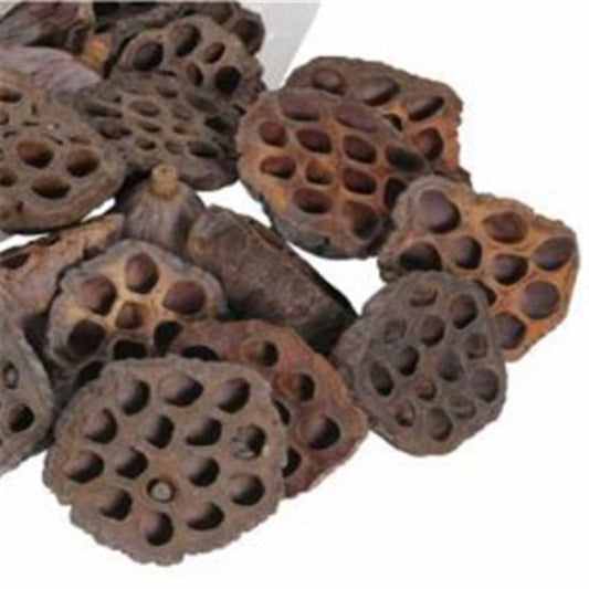 NATURAL LOTUS HEADS 50pk