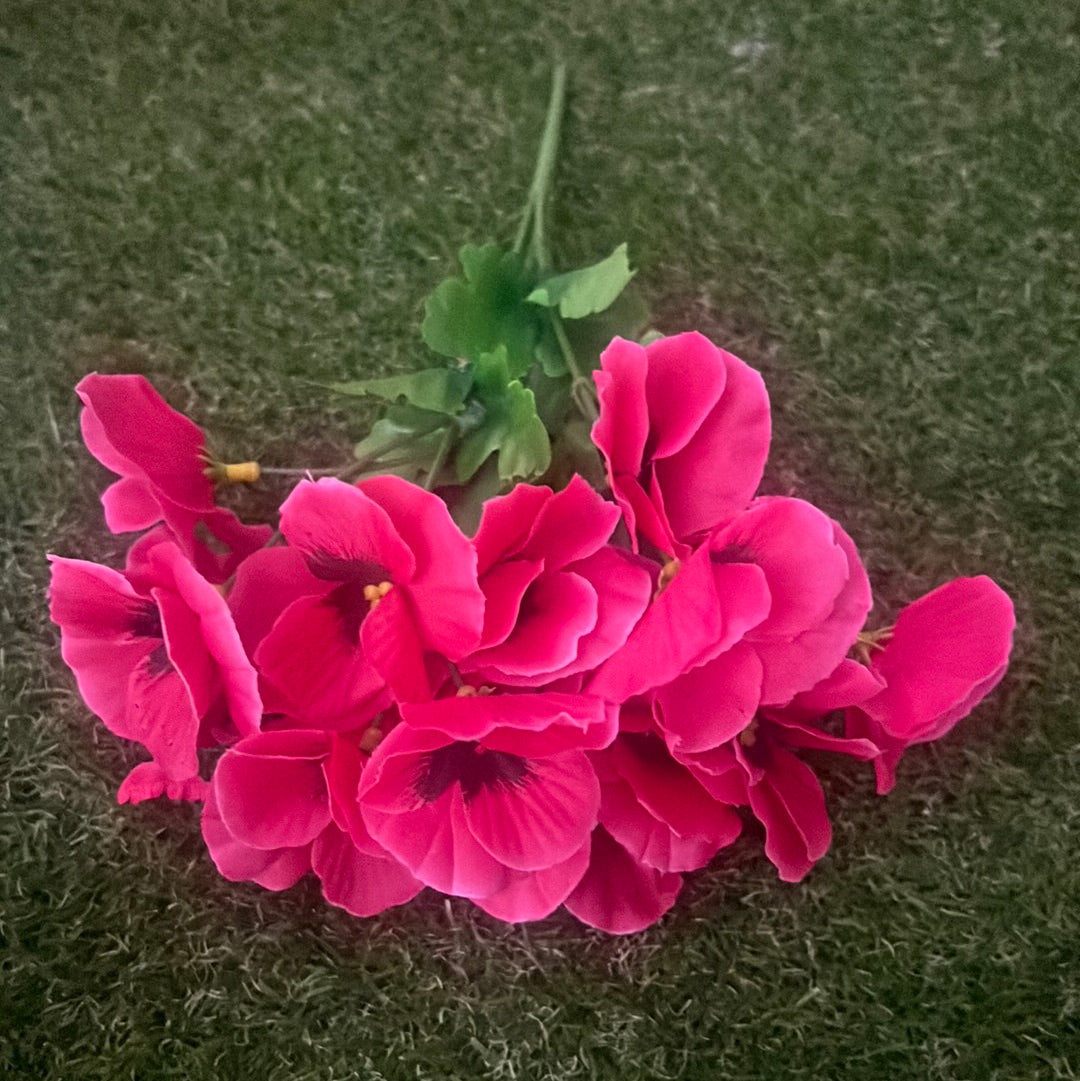 SINGLE PANSY BUNCH PINK