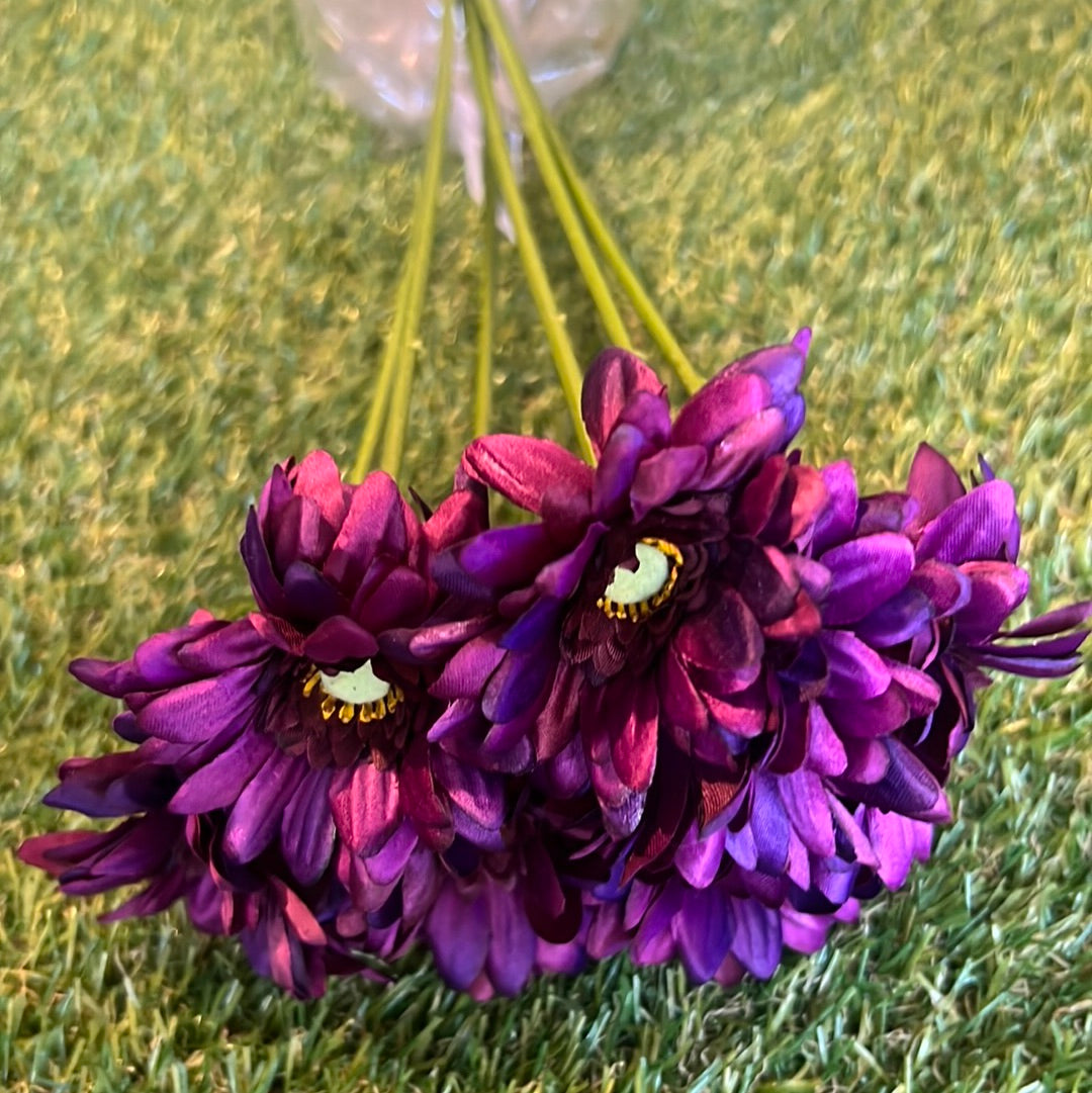 PURPLE LONG STEM GERBERA BUNCH