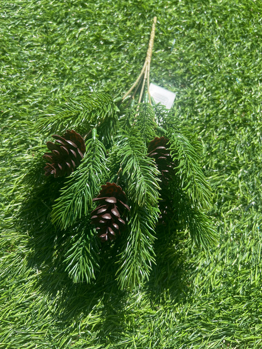 GREEN PINE BUNCH BROWN PINE CONES